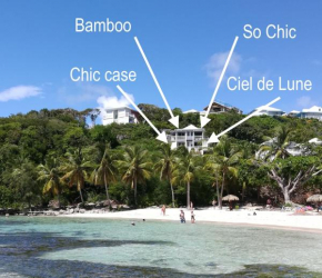 Beach Front Bamboo